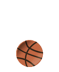 Party Basketball Sticker