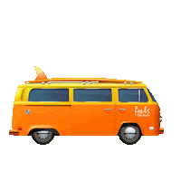 Wearefeels Sticker by feels
