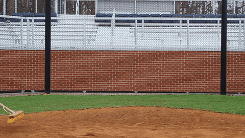 vwu_marlins giphyupload marlins vwu wethebeach GIF