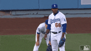 When You See It Los Angeles Dodgers GIF by MLB