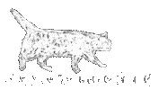 Cat 歩く Sticker
