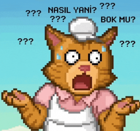 Cat Kitty GIF