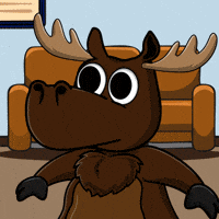 DoYouMoose what omg wtf shocked GIF