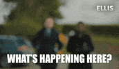 CompanyPictures what drama detective ellis GIF