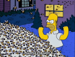 homer simpson GIF