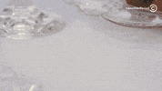 comedy central cc GIF by Another Period