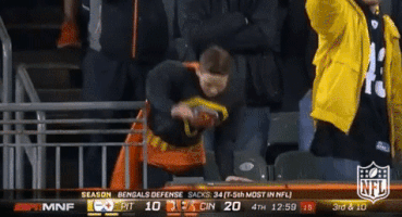 Pittsburgh Steelers Football GIF by NFL