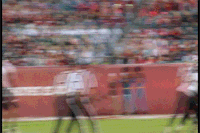 Temple Football GIF by Temple Owls