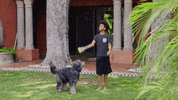 fetch reality show GIF by Hallmark Channel