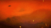 Gcsuns GIF by Gold Coast SUNS
