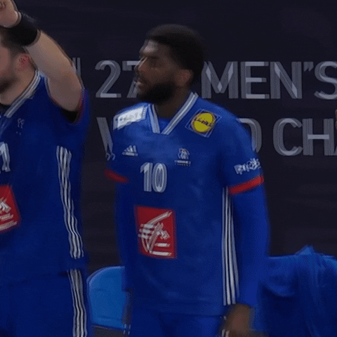 Ffhandball GIF by Fédération Française de Handball
