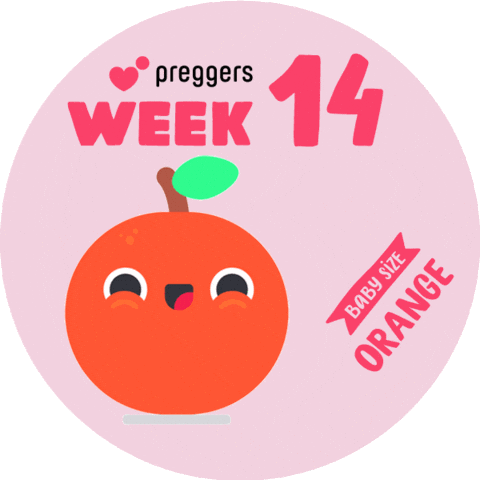 Baby Orange Sticker by Preggers