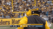 Pittsburgh Steelers Football GIF by NFL