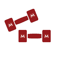 msf msfitness Sticker by Mountainside Fitness