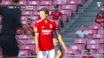Confused Sl Benfica GIF by Sport Lisboa e Benfica