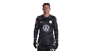 Pavao Pervan Hello Sticker by VfL Wolfsburg