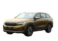 Main Character Travel Sticker by Skoda India