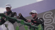 Celebrate Hands Up GIF by Jaguar TCS Racing