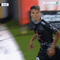 Jupilerproleague Waregem GIF by ElevenSportsBE