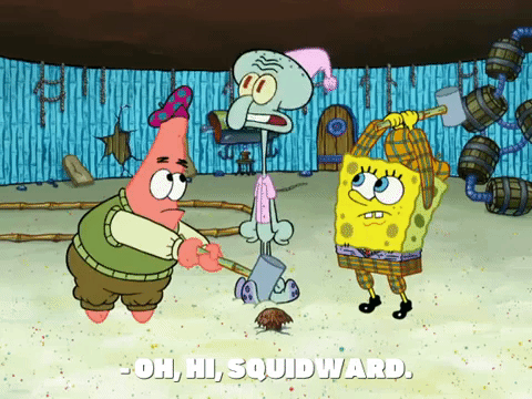 season 8 episode 3 GIF by SpongeBob SquarePants