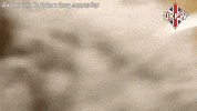 Wolf Wrestler GIF by United Kingdom Pro Wrestling