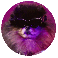 Dog Donnie Sticker by Statiegeld Nederland