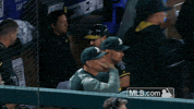 matt joyce GIF by MLB