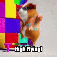 Guinea Pig GIF by Guinea Gambino