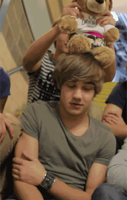 one direction bear GIF