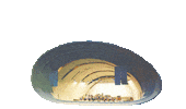 San Diego Summer Sticker by San Diego Symphony