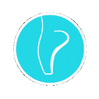 perfectfitpointe ballet ballerina pf pointe Sticker