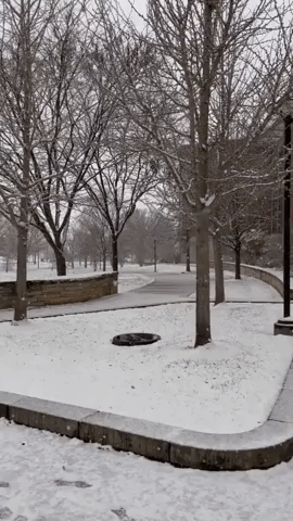 Winter Storms Brings Snow to State College