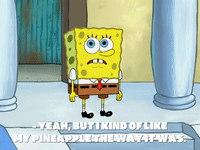 season 8 GIF by SpongeBob SquarePants