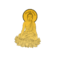 Buddhabodyorganics vegan organic skin care soap Sticker