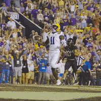 College Football GIF by LSU Tigers