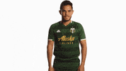 Portland Timbers Silence GIF by Timbers
