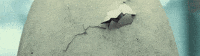 egg dinosaur GIF by Jurassic World