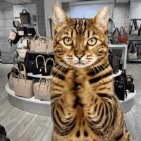 Well Done Applause GIF by Kitty Fuchs