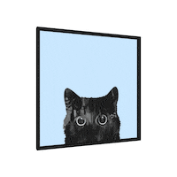 SketchUp cat design 3d photo Sticker