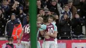 happy west ham GIF by West Ham United