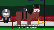 look horse GIF by South Park 