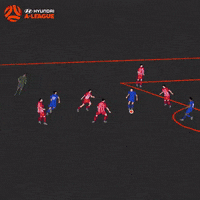 Football Soccer GIF by Hyundai A-League