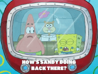 season 8 bubble troubles GIF by SpongeBob SquarePants