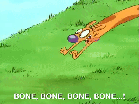 nicksplat GIF