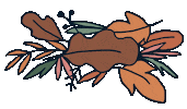 Fall Season Sticker by Marie Boiseau