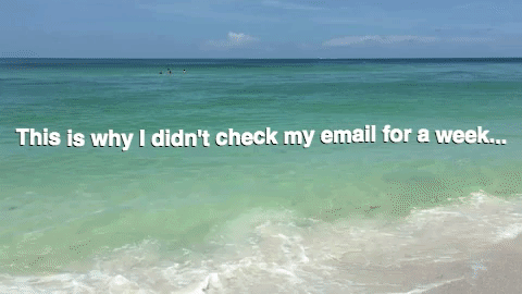 beach ocean GIF