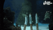 Sea Turtle Manchester GIF by Keep Britain Tidy