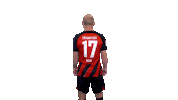 Turn Sge Sticker by Eintracht Frankfurt