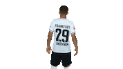 Turn Sge Sticker by Eintracht Frankfurt