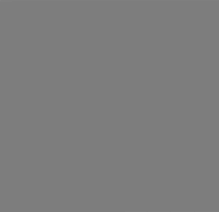 chippythedog chippythedog GIF